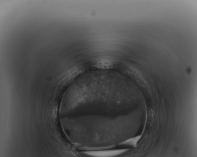 X0000097990652200804011810