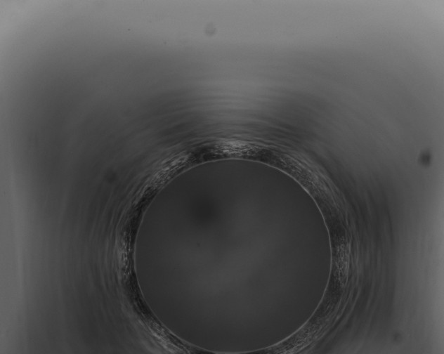 X0000097990653200804011810