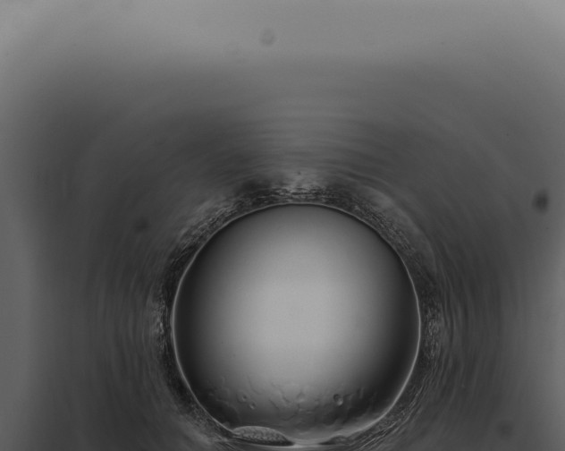 X0000097990654200804011810