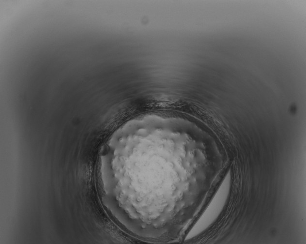 X0000097990657200804011810