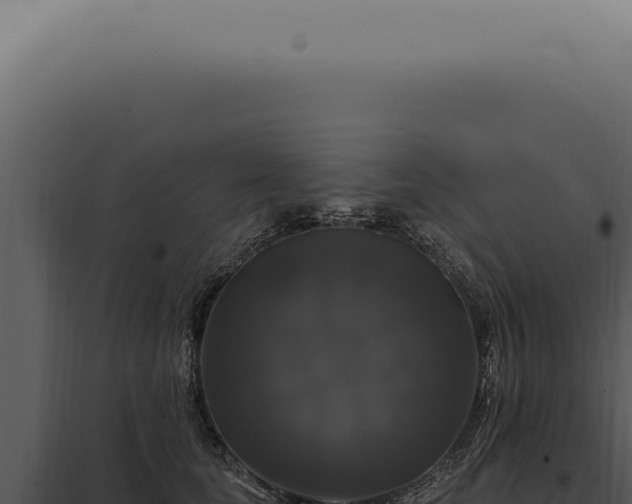 X0000097990659200804011810
