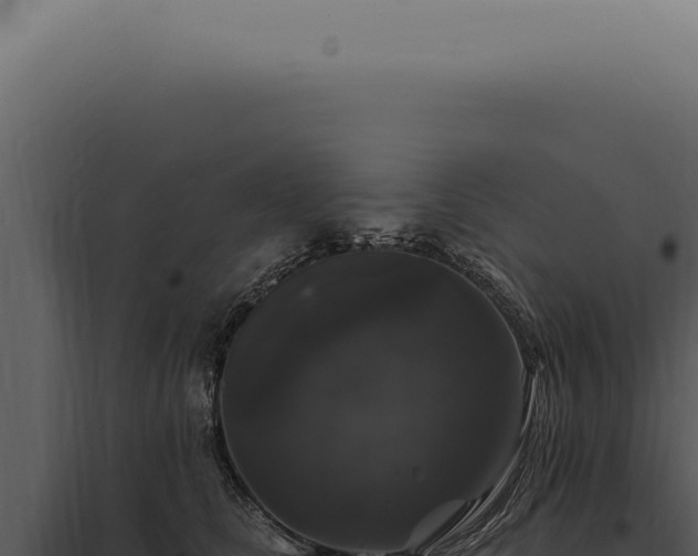 X0000097990661200804011810