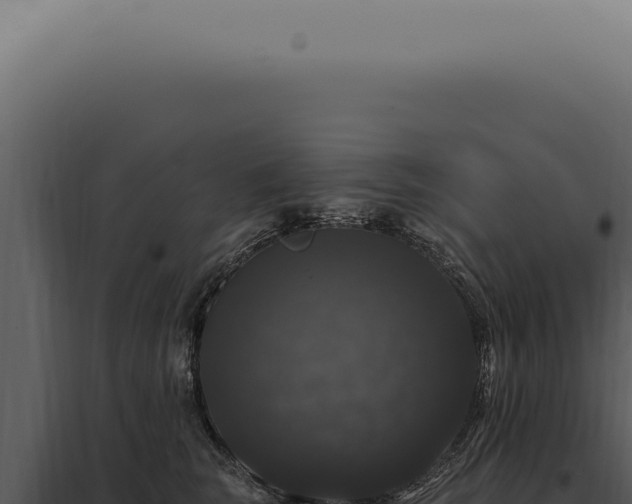X0000097990663200804011810