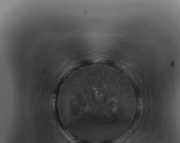 X0000097990664200804011810