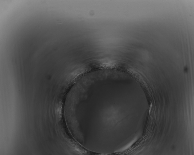X0000097990668200804011810
