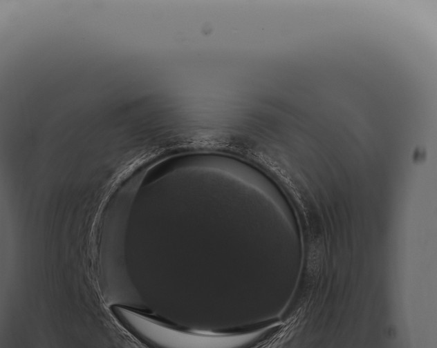 X0000097990673200804011809