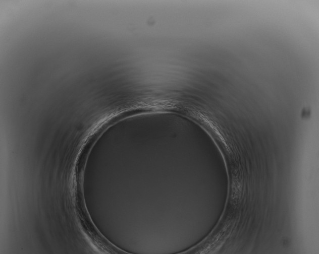 X0000097990674200804011809