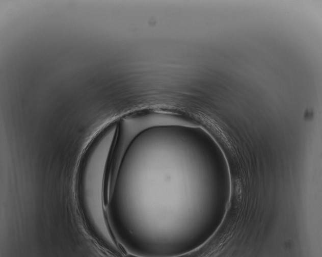 X0000097990676200804011809