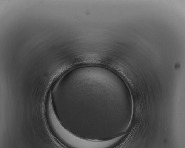 X0000097990677200804011809