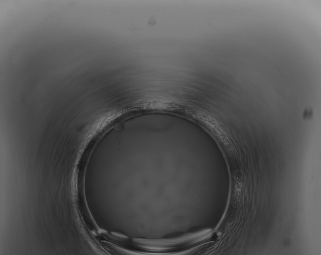 X0000097990678200804011809