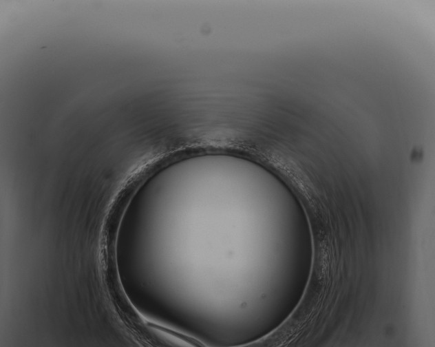 X0000097990680200804011809