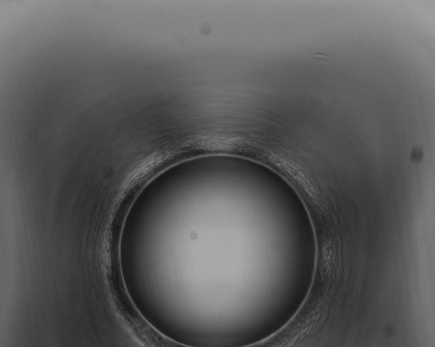 X0000097990682200804011809