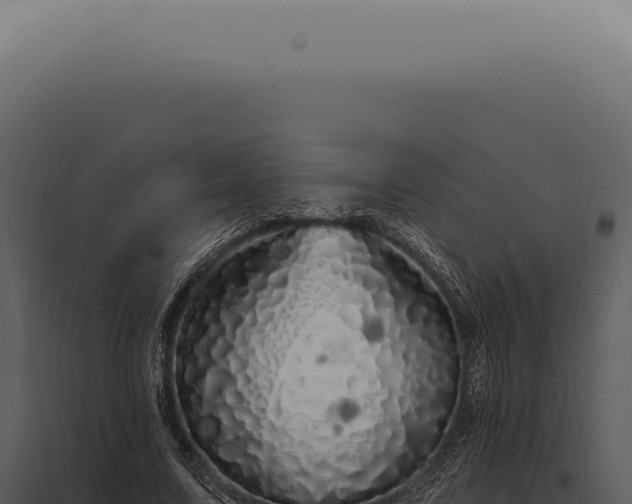 X0000097990683200804011809