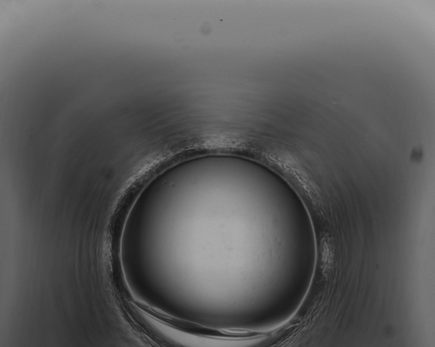 X0000097990684200804011809