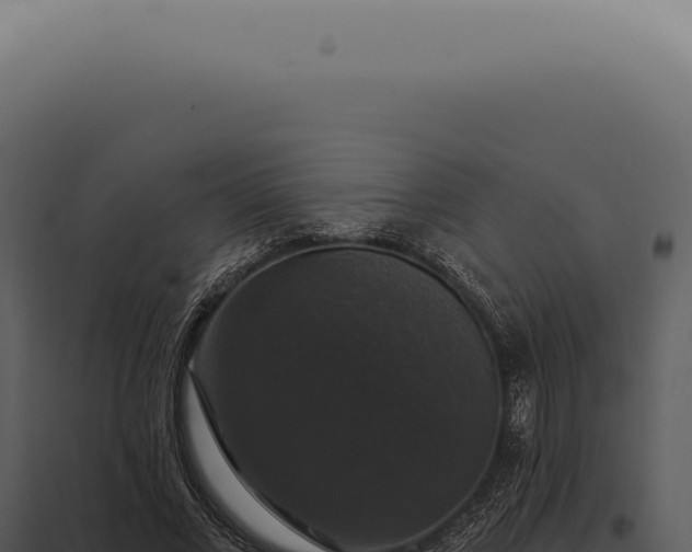X0000097990685200804011809