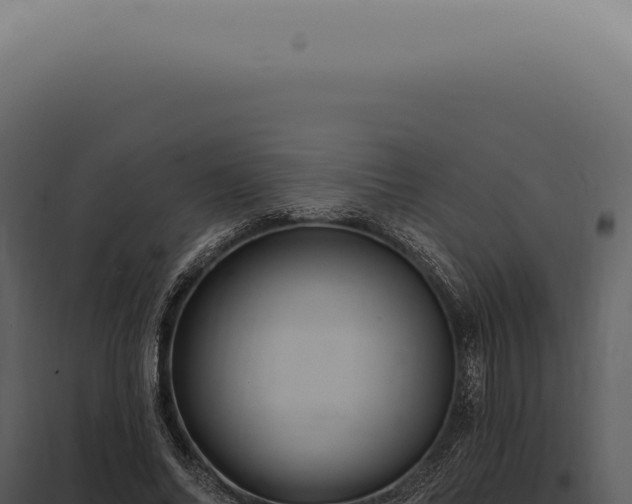 X0000097990686200804011809