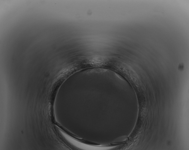X0000097990689200804011809