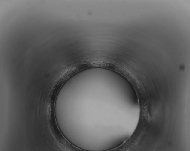 X0000097990690200804011809
