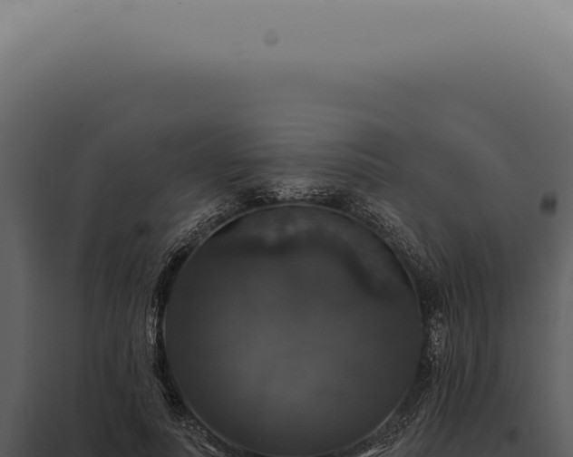 X0000097990691200804011809