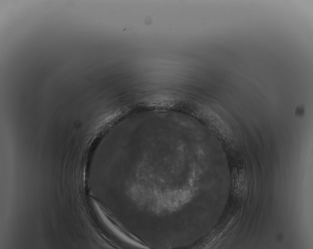 X0000097990692200804011809