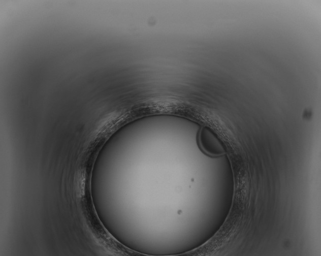 X0000097990694200804011809