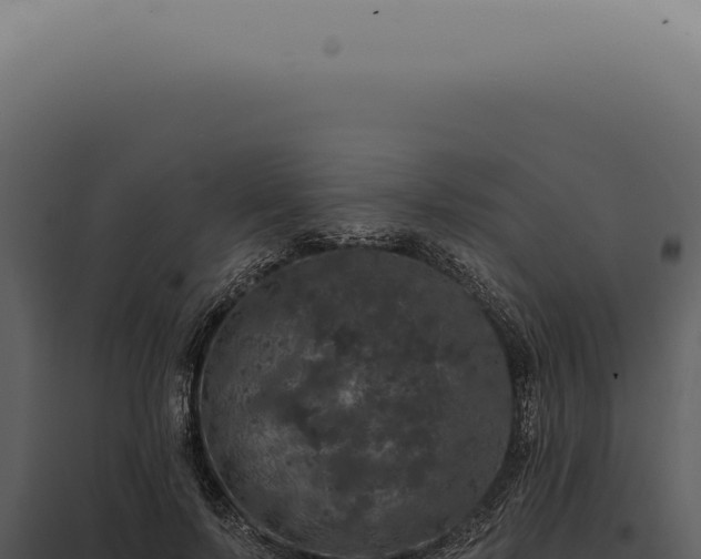 X0000097990695200804011809