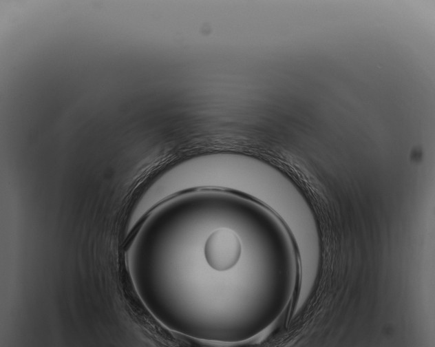 X0000097990696200804011809