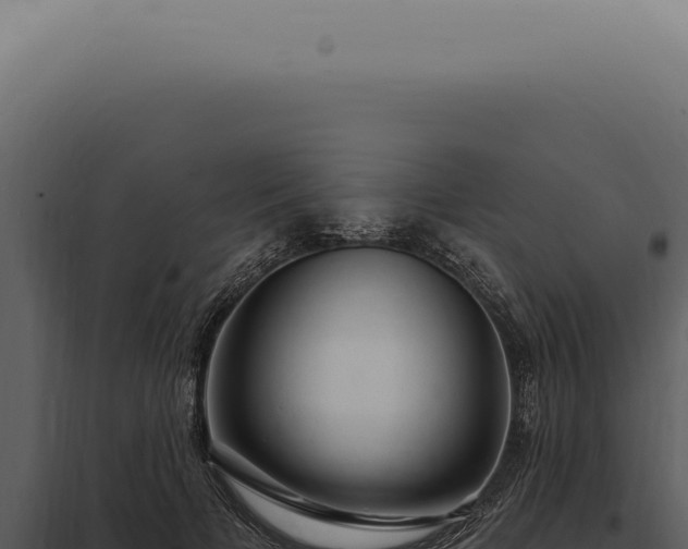 X0000097990697200804011809