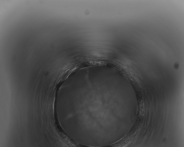 X0000097990699200804011809
