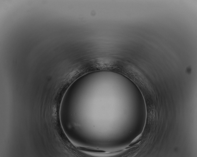 X0000097990700200804011809