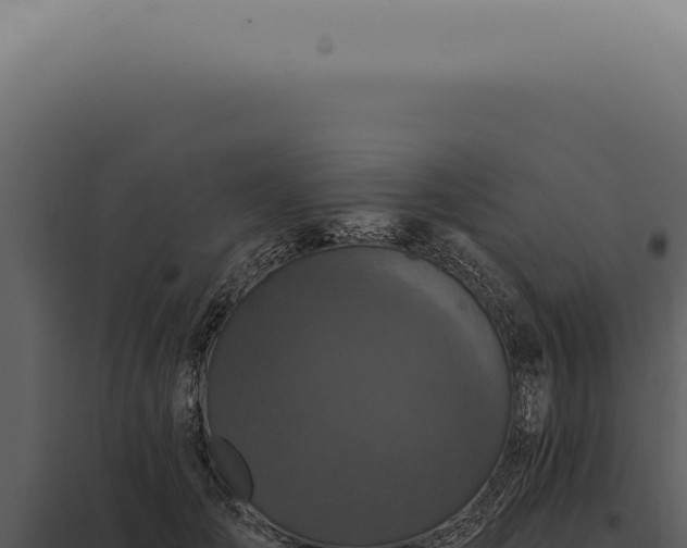 X0000097990701200804011809