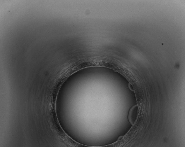 X0000097990702200804011809