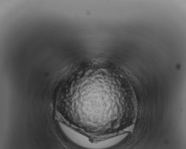 X0000097990703200804011809
