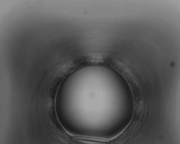 X0000097990704200804011808