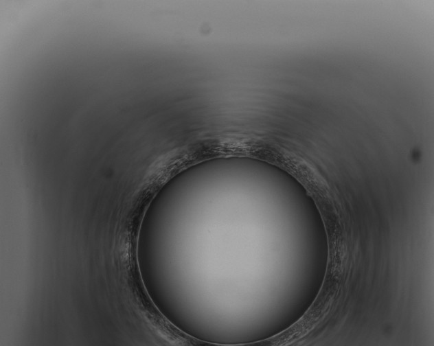 X0000097990706200804011808