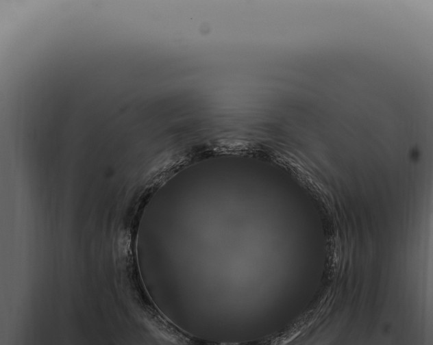 X0000097990711200804011808