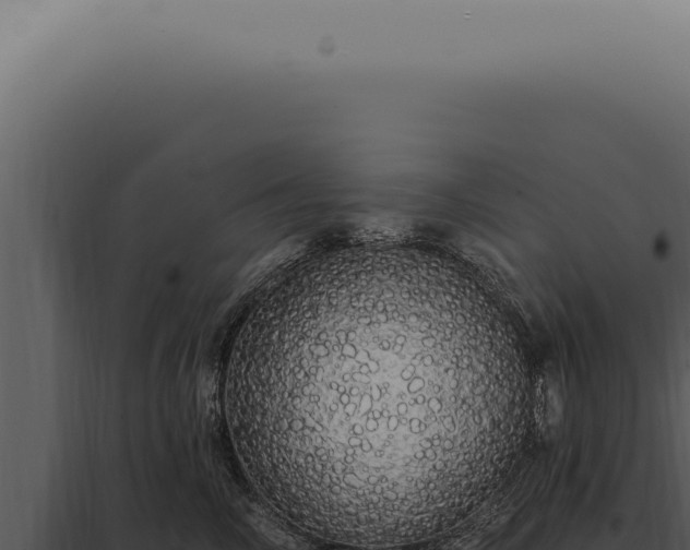 X0000097990714200804011808