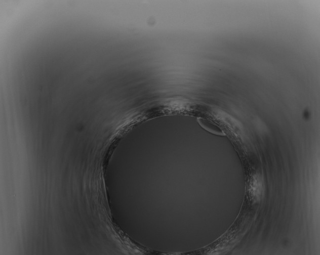 X0000097990715200804011808