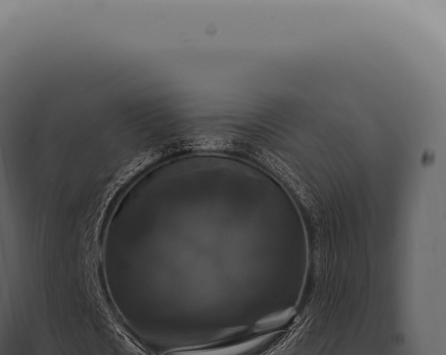X0000097990721200804011808