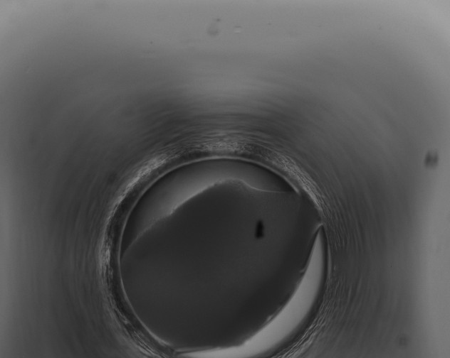 X0000097990723200804011808