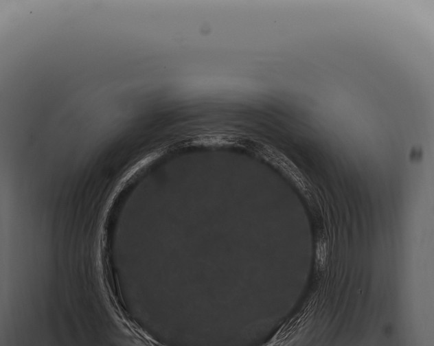 X0000097990724200804011808