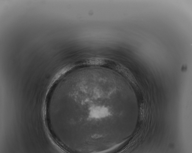 X0000097990726200804011808