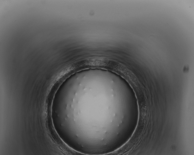 X0000097990727200804011808