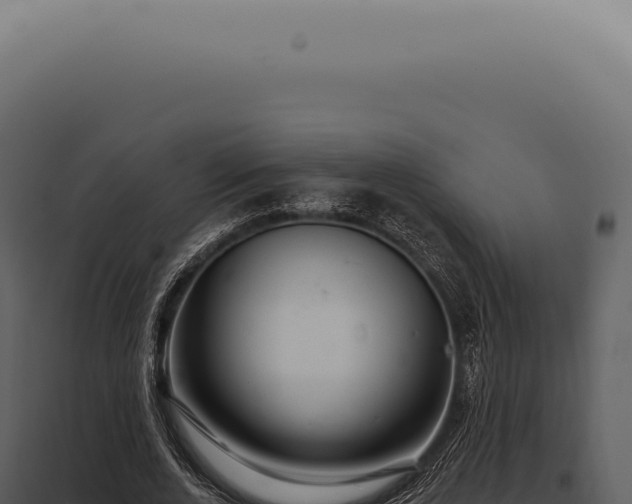 X0000097990728200804011808