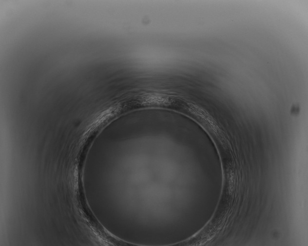 X0000097990729200804011808