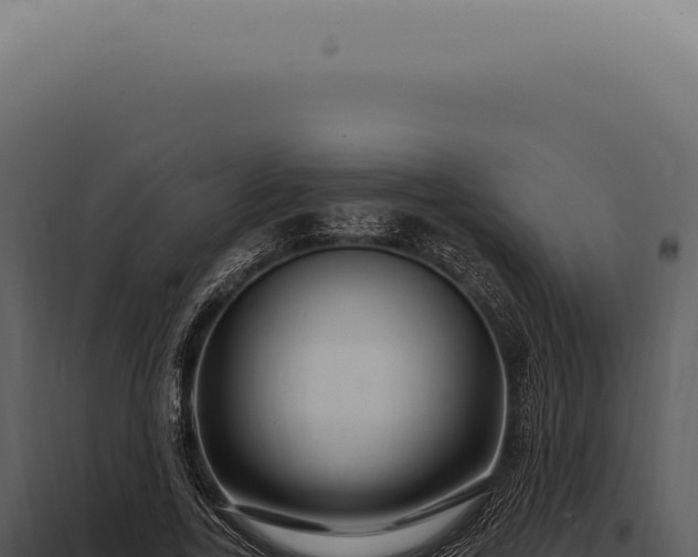 X0000097990731200804011808