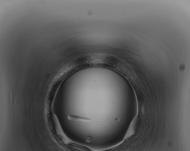 X0000097990732200804011808