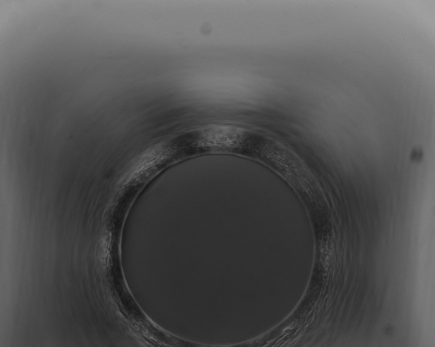 X0000097990735200804011808