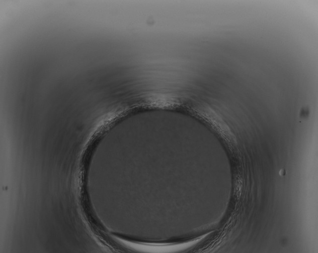 X0000097990736200804011808