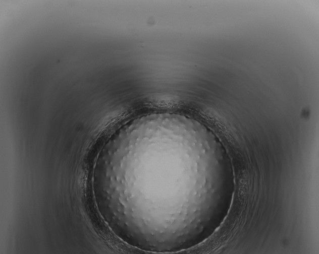 X0000097990739200804011808